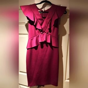 Ted Baker Fuscia Dress Size 1 (US 4-6)